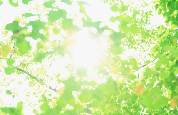 中津で注文住宅